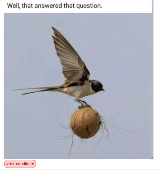 a candidate tag applied to an image